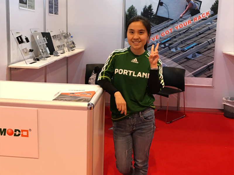 2017 Dubai Exhibition