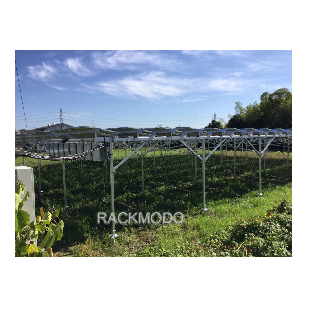 Aluminium Solar Farm Ground Mounting System Greenhouse Agricultural Shed Solar Panel Farm Structure Solar Panels Farm 3mw